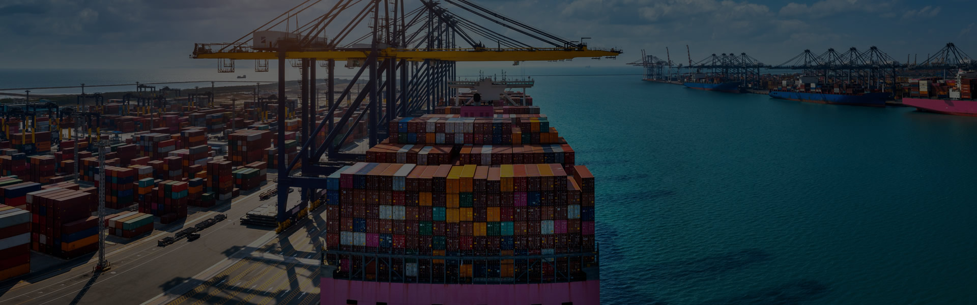 International trade